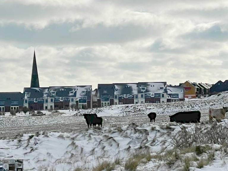 Ferienwohnung  Helgoland