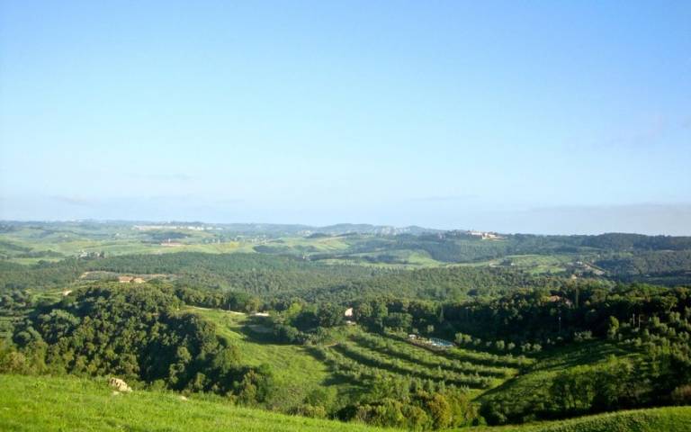 Le Capanne: App. Amelia — photo 3