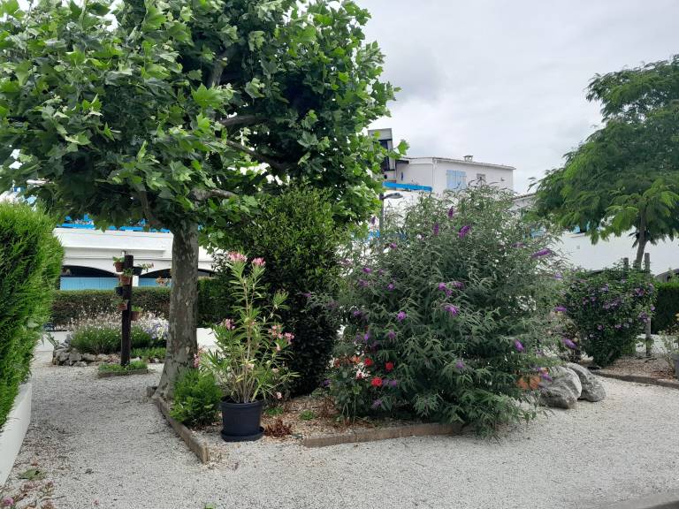 Condo Saint-Palais-sur-Mer