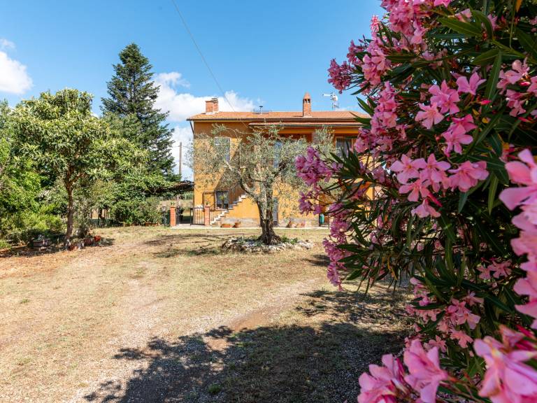 House with garden & terrace — photo 3