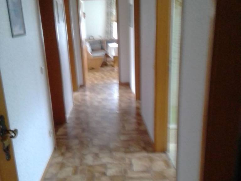 foto2