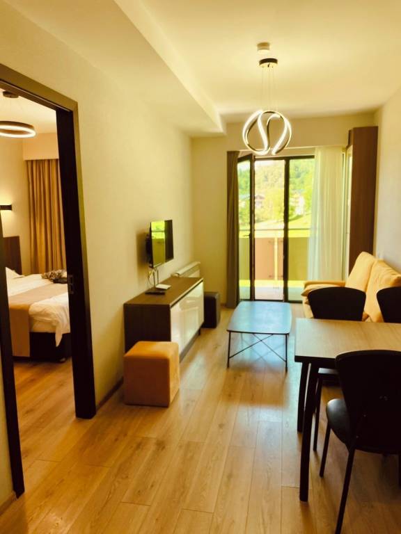Apartment Bakuriani