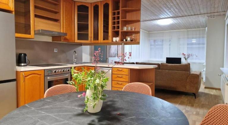 Wonderful holiday apartment | Pet-friendly in Tallinn