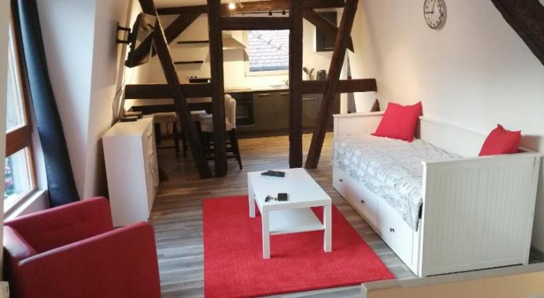 Wonderful rental apartment | Pets are welcome in Strasbourg
