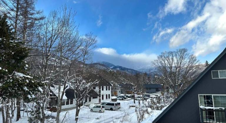 Chalet with 4 rooms for 12 persons — photo 4
