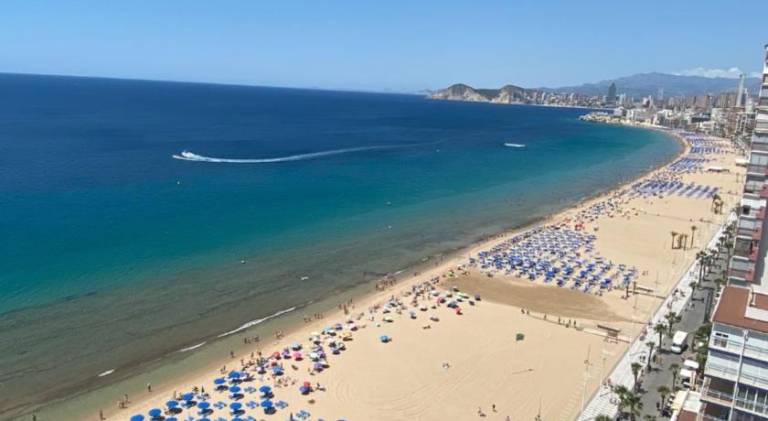 Beautiful rental apartment with private pool & terrace | Next to the beach | Pet-friendly in Benidorm