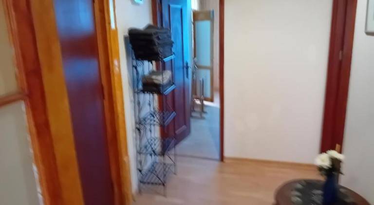 Beautiful holiday apartment | Pets are welcome — photo 3