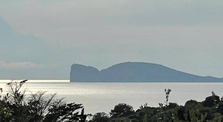 House with 2 rooms for 4 persons in Alghero