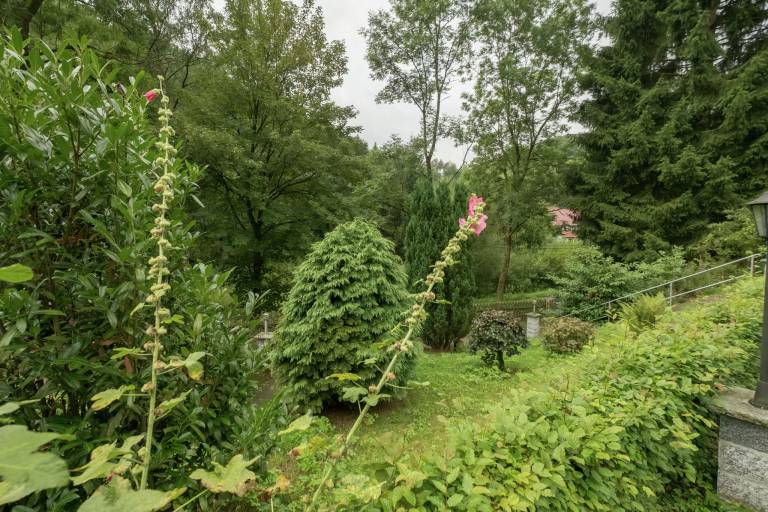 foto17