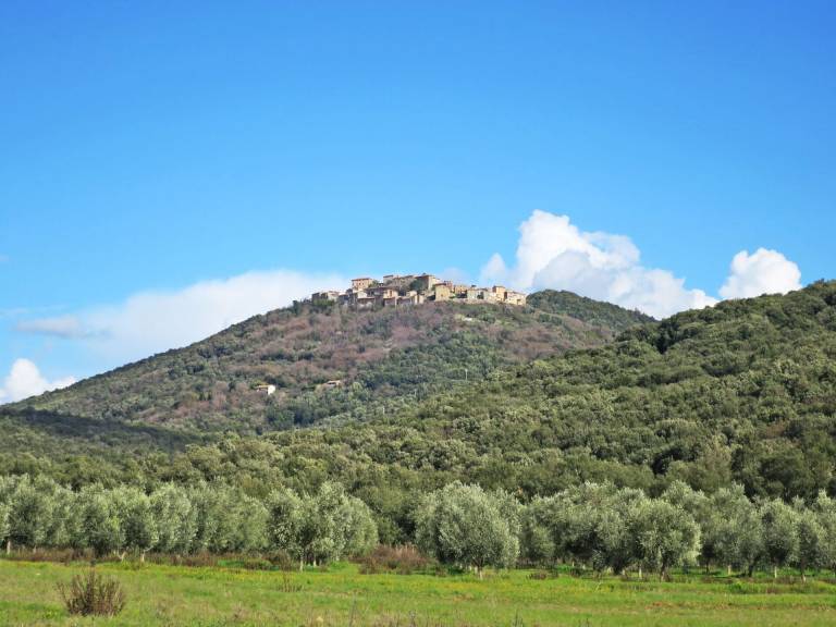 foto18