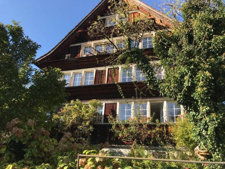 foto11