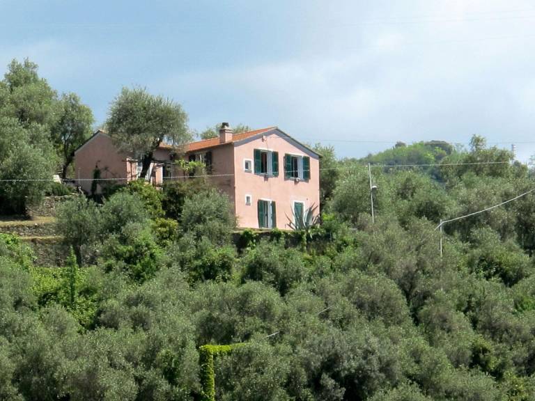 foto3
