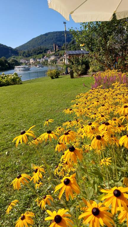 Ferienwohnung Neckarsteinach