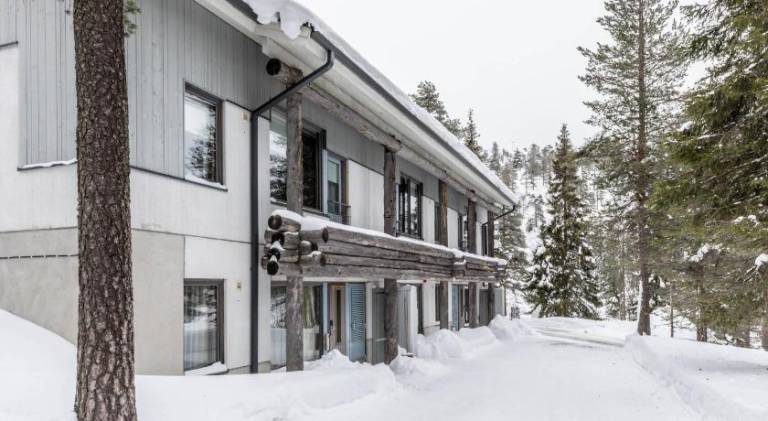 Apartment with sauna — photo 3