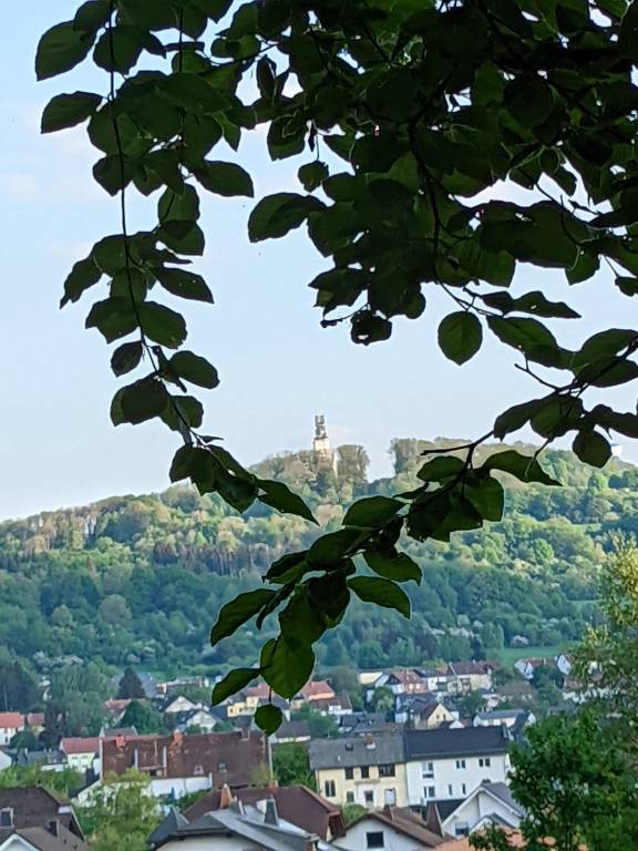 foto37
