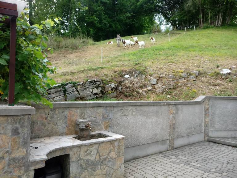 foto15