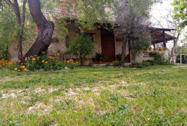 Via Del Campo: La Ginestra — photo 2