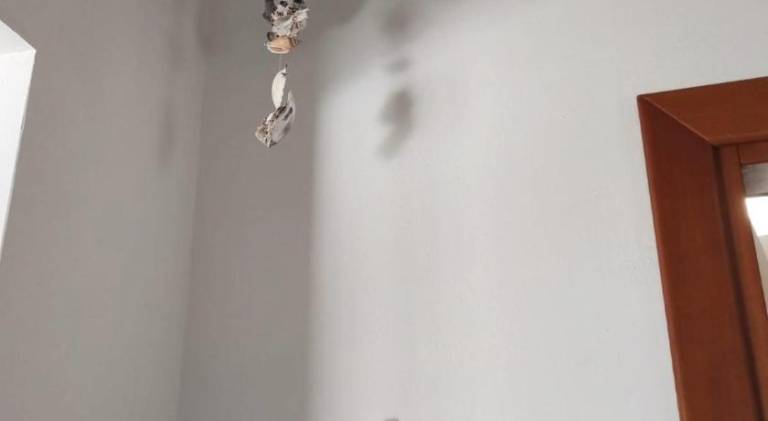 foto31
