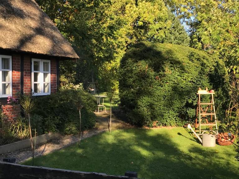 foto1