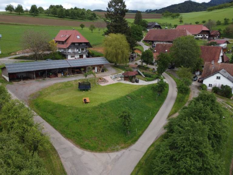 foto19