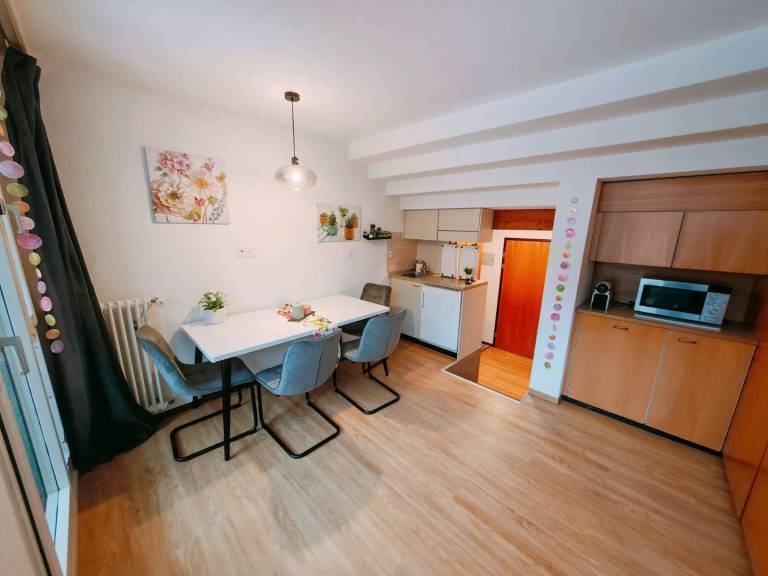 1 Zimmer Wohnung für 3 Personen mit Aussicht auf das Dorf — photo 2