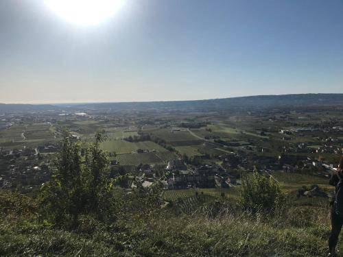 foto15