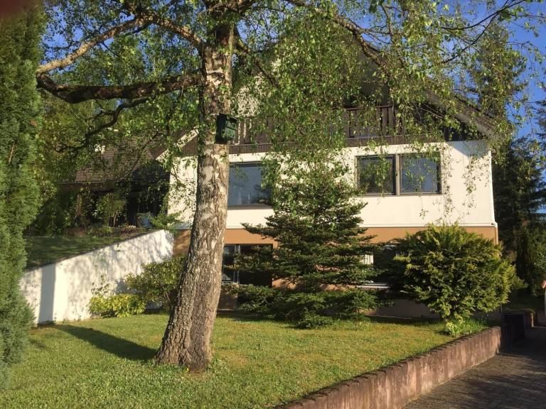 Ferienwohnung Hauenstein