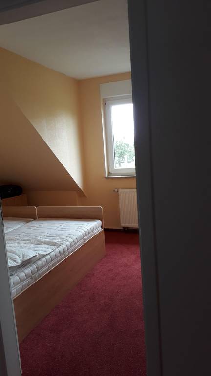 foto19