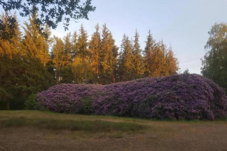 foto36