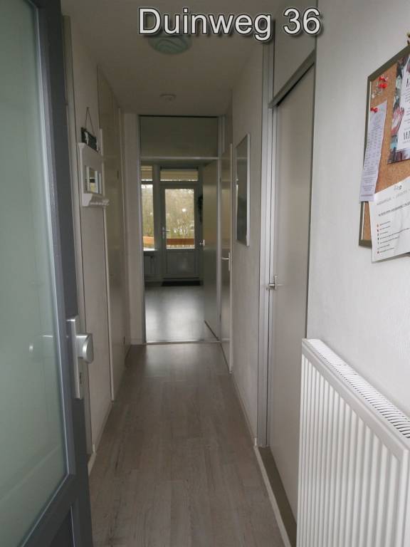 Rental apartment with garden & pool — photo 3