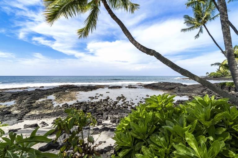 Condo Holualoa