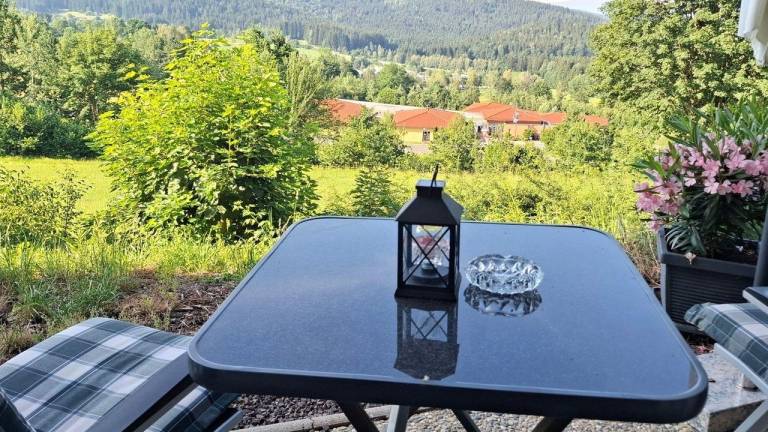 Ferienwohnung Bodenmais
