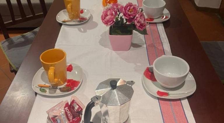 Rental apartment | Perfect for remote work | Pets are welcome in Figline e Incisa Valdarno