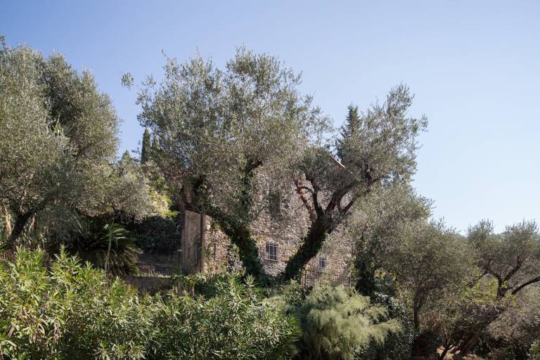 Lovely holiday apartment | Dogs allowed — photo 4