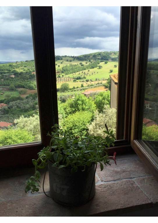 foto15