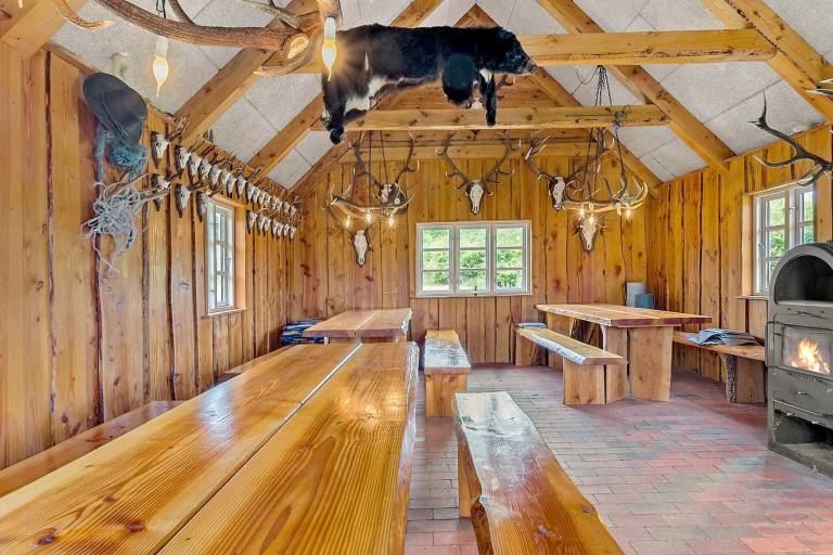 House with grill, patio & yard — photo 4