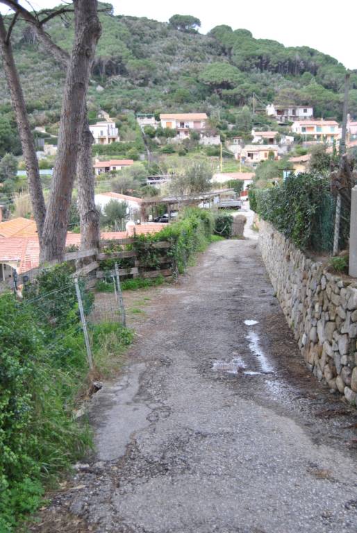 foto15