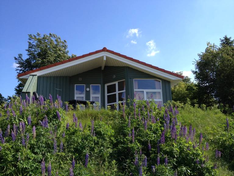 Ferienhaus mit Hund inHestoft,  Römö f&uuml;r max. 4 Personen