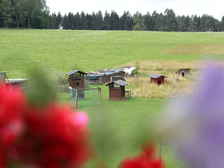 foto15