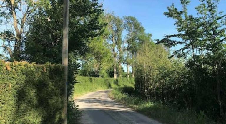 foto15