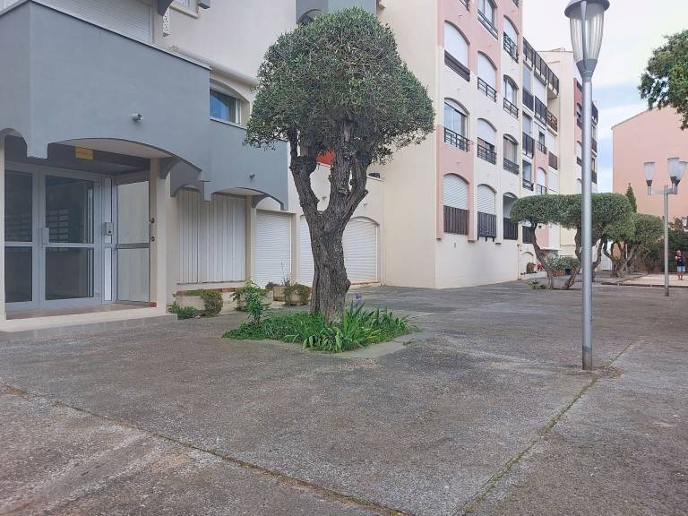 foto5