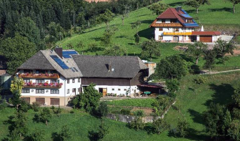 foto11