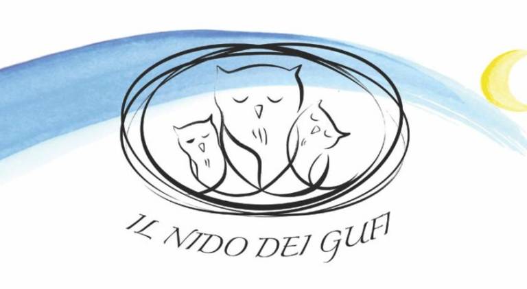 Il nido dei gufi