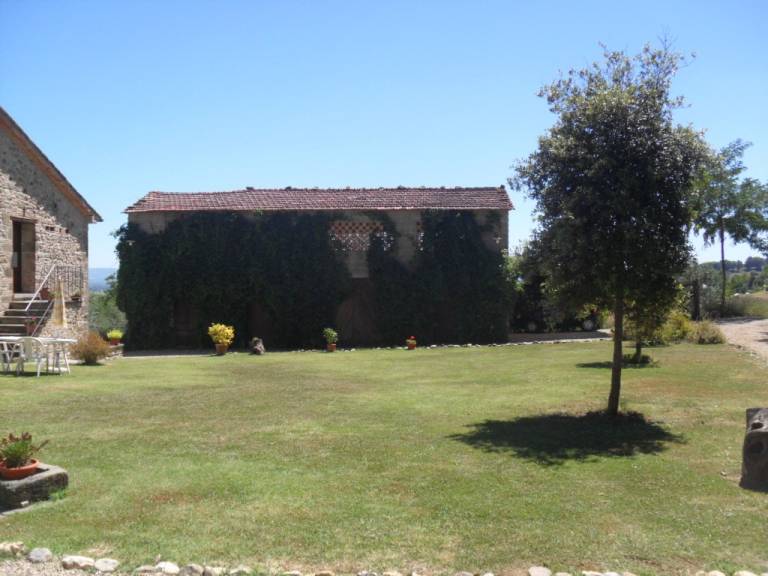 foto6
