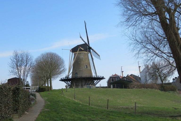 House  Bergen op Zoom
