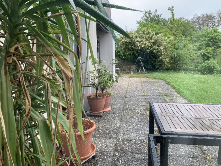 foto20