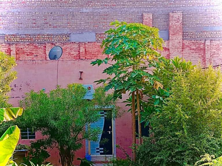 House Bikaner