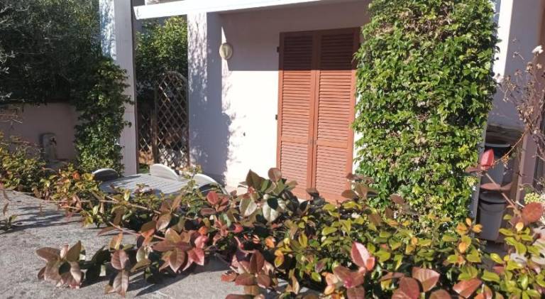 Holiday apartment | Pets allowed — photo 4