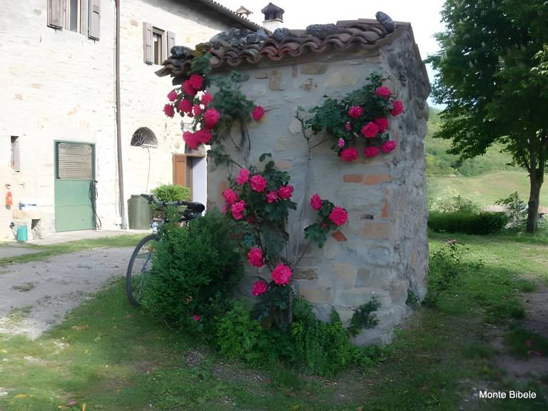 foto19