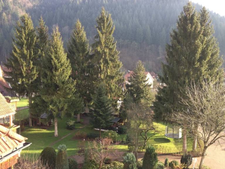 foto10